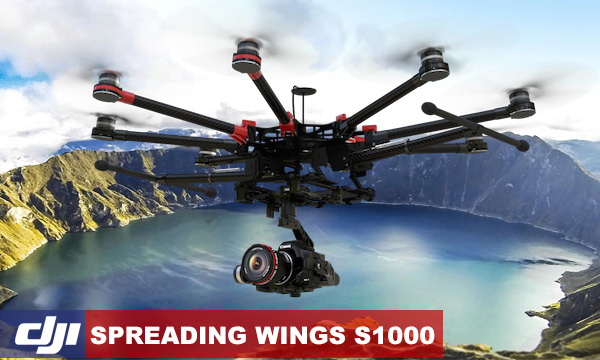 Spreading Wings S1000