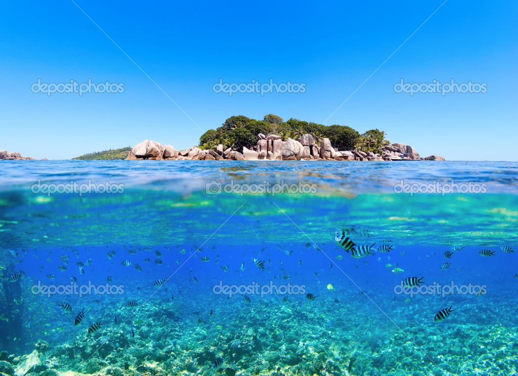 http://www.aljalawi.net/wp-content/uploads/2011/08/depositphotos_4919122-Under-and-above-water.jpg