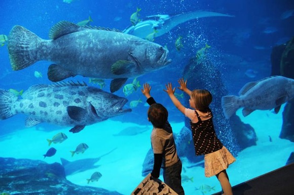 http://www.aljalawi.net/wp-content/uploads/2011/09/worlds_r.jpg
