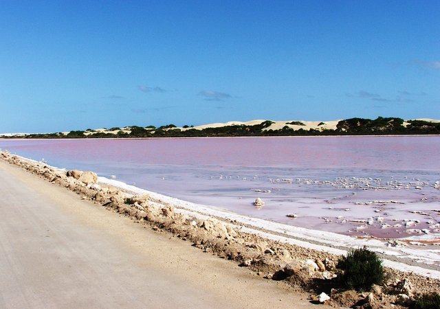 http://www.aljalawi.net/wp-content/uploads/2011/12/L4.jpg