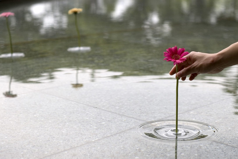 صور : تصميم قاعدة زهور شفافة تطفو على الماء