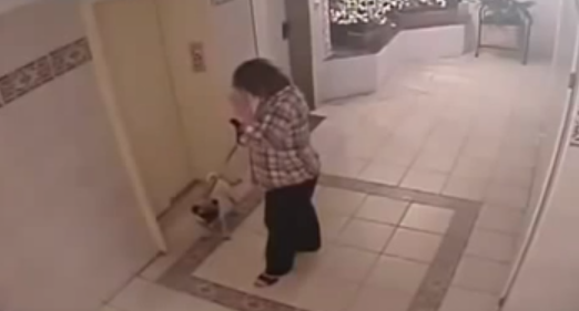 فيديو : الاصنصير كاد أن يقتل كلب محظوظ