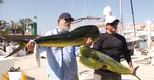 فيديو : فقمة تفاجئ صياد وتخطف منه سمكة كبيرة أثناء التصوير