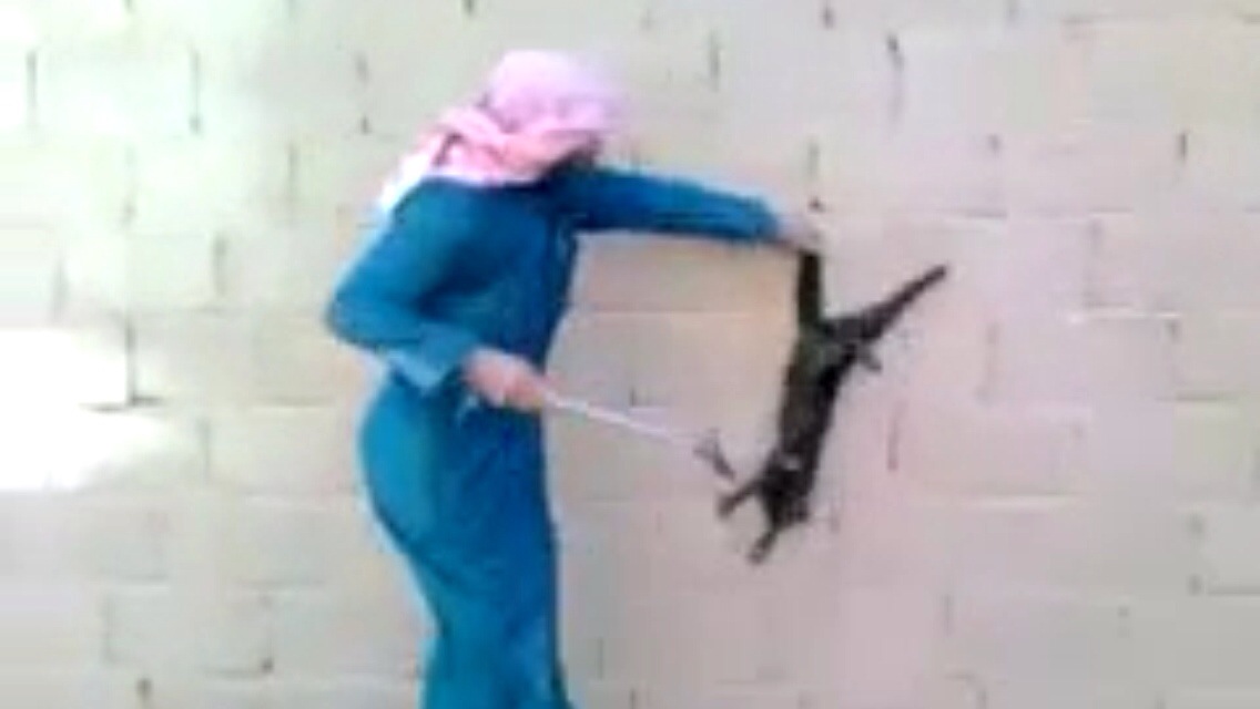 فيديو : رجل يقطع ذيل قطة