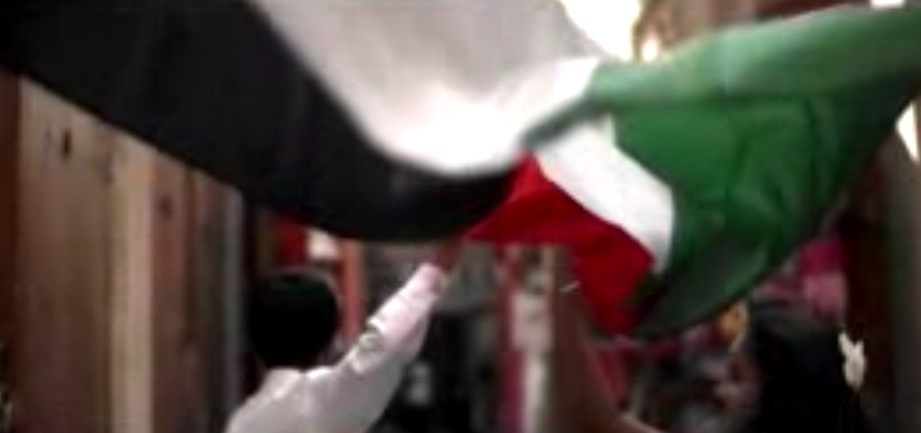 فيديو : النشيد الوطني الإماراتي .. باسلوب جديد