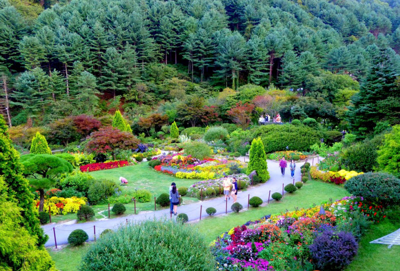 صور : في كوريا الجنوبية حديقة من أجمل الحدائق في العالم